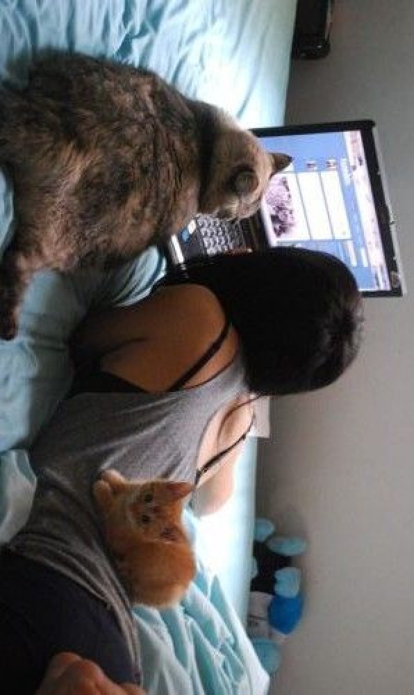 Индивидуалка Симона фото № 2 в городе Балашиха